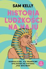 Historia ludzkości na haju : skandaliczne, ale prawdziwe spojrzenie na historię 