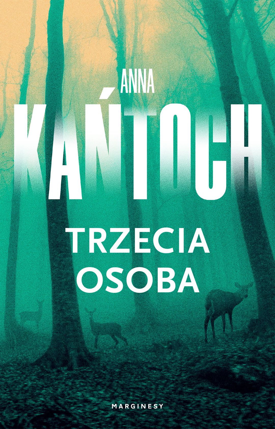 Trzecia osoba / Anna Kańtoch - okładka