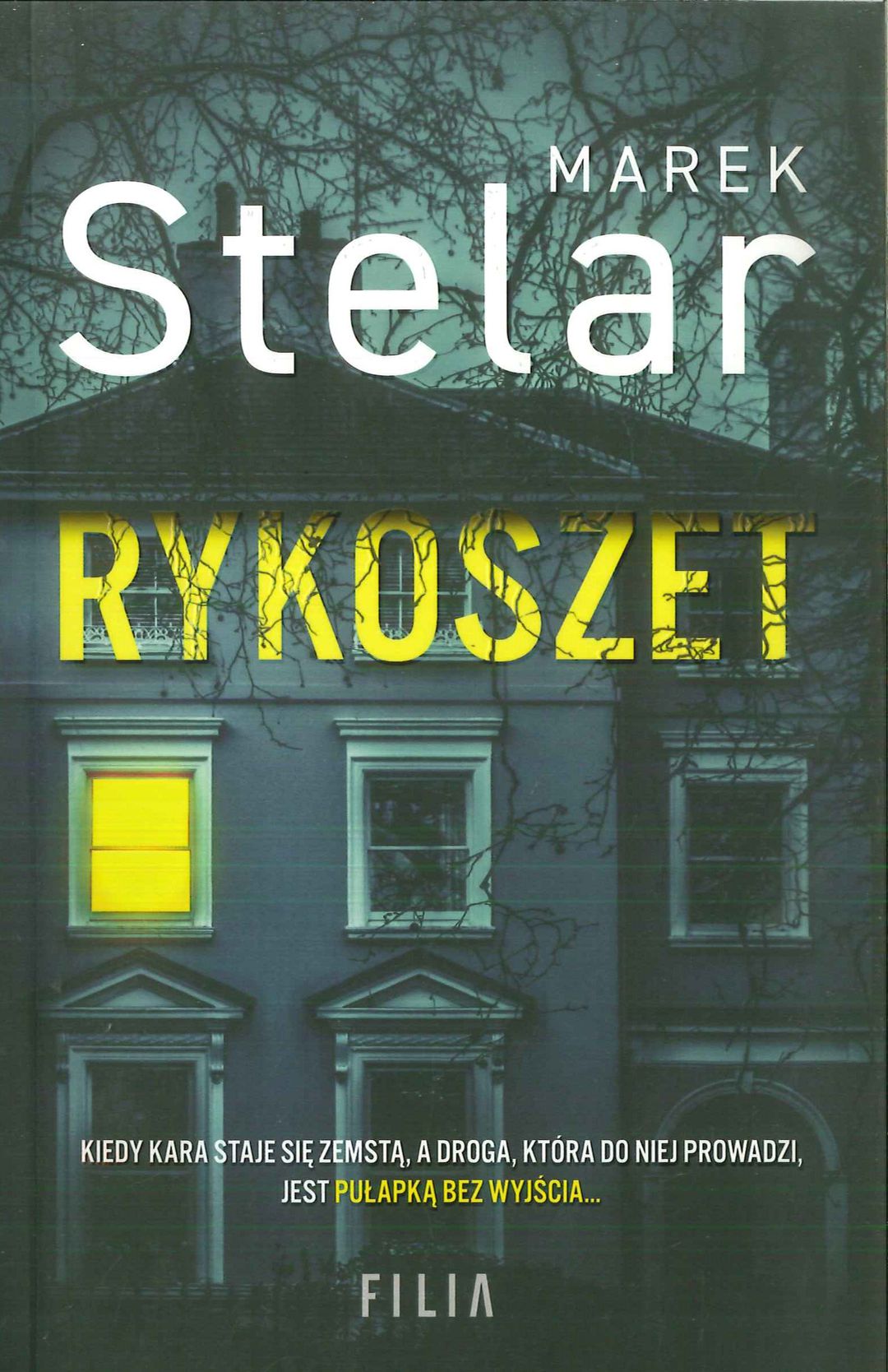 Rykoszet / Marek Stelar - okładka