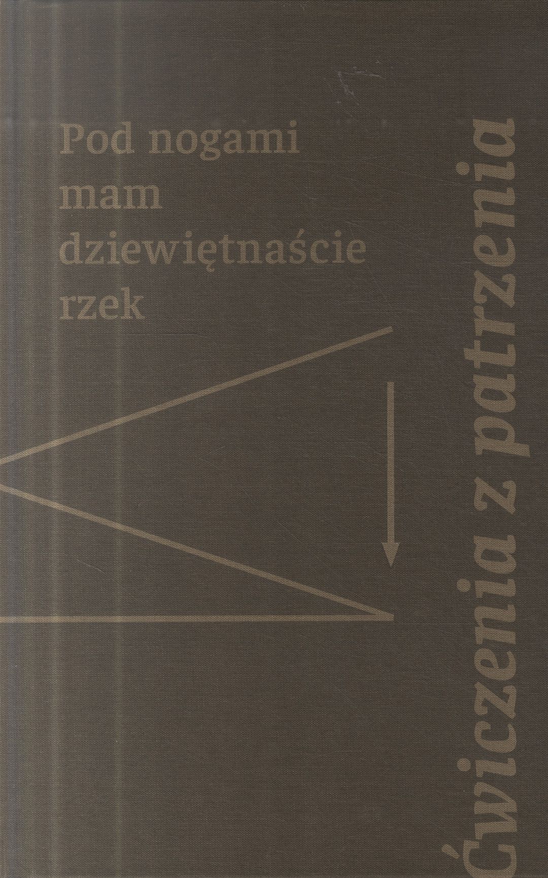 Ćwiczenia z patrzenia : pod nogami mam dziewiętnaście rzek / Marek Szyryk - okładka