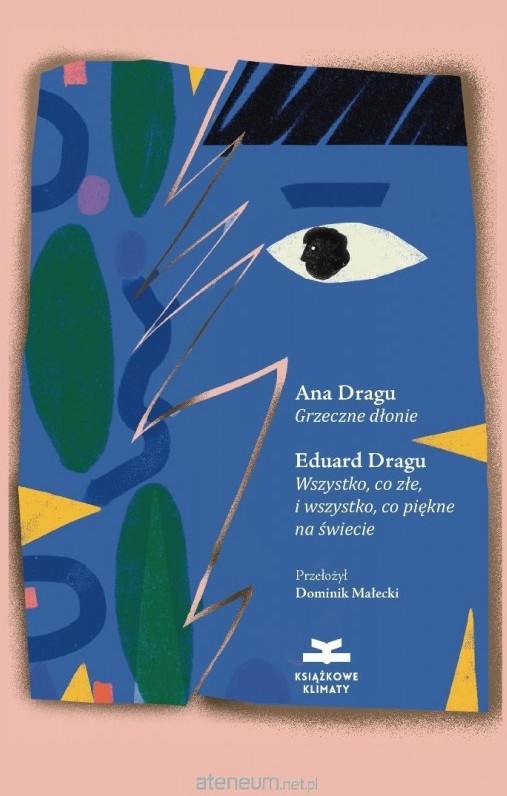 Grzeczne dłonie : Wszystko, co złe, i wszystko, co piękne na świecie / Ana Dragu, Eduard Dragu - okładka