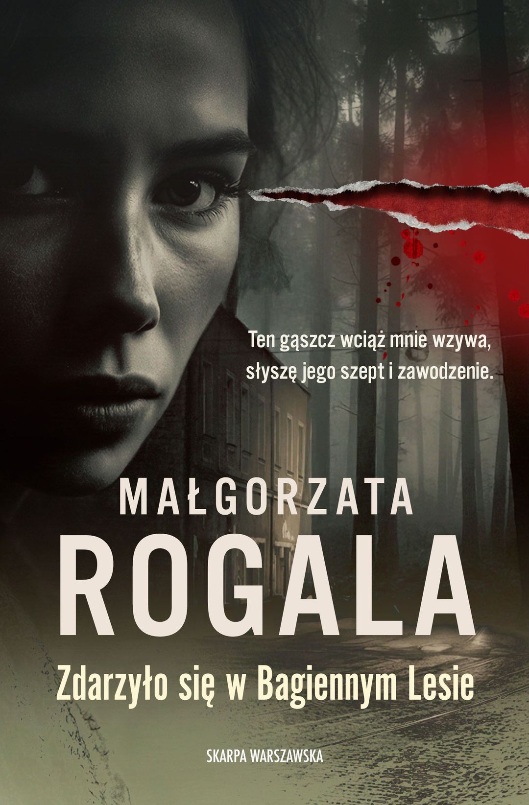 Zdarzyło się w Bagiennym Lesie / Małgorzata Rogala - okładka